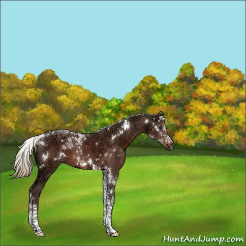 Horse Color:White Spotted Liver Chestnut Ice Tobiano 