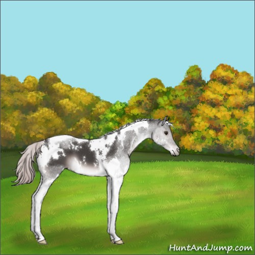 Horse Color:Platinum White Spotted Liver Chestnut Tobiano 