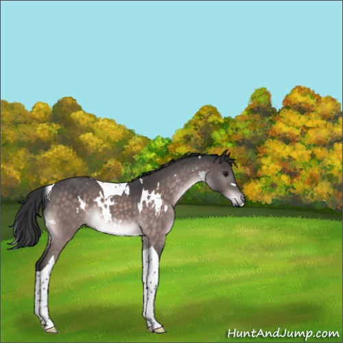 Horse Color:Platinum White Spotted Brown Tobiano 