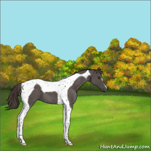 Horse Color:Platinum Liver Chestnut Tobiano 