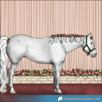Horse Color:Gray Gold Champagne Tobiano 