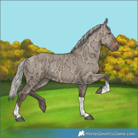 Horse Color:Silver Brown Ice Dun Tobiano 
