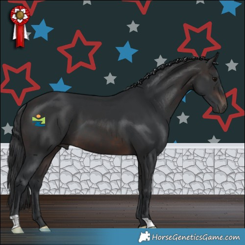 Horse Color:Brown 