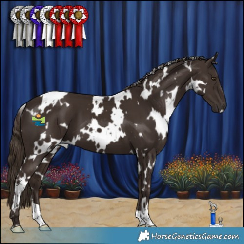Horse Color:White Spotted Liver Chestnut 