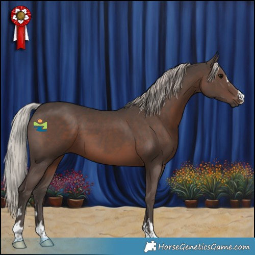 Horse Color:Silver Black 