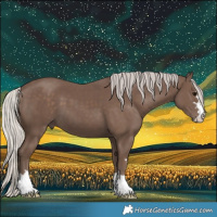 Horse Color:Silver Black