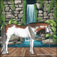 Horse Color:Bay Splash Frame 