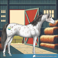 Horse Color:White Spotted Liver Red Dun Appaloosa 