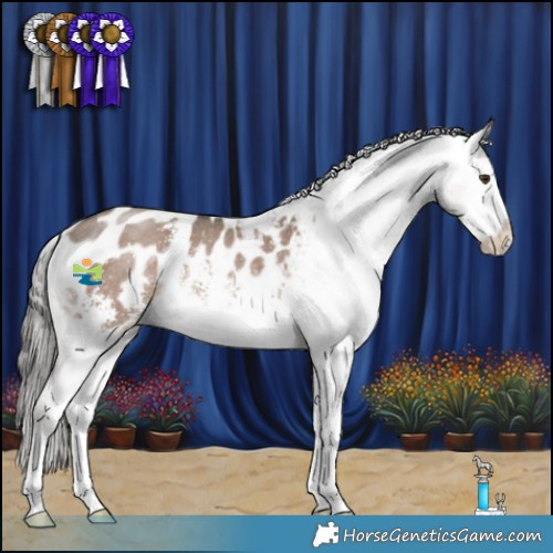 Horse Color:Liver Red Dun Mushroom Sabino Appaloosa 