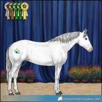 Horse Color:Liver Red Dun Mushroom Sabino Varnish 