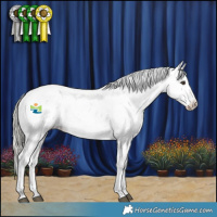 Horse Color:Liver Red Dun Mushroom Sabino Appaloosa