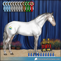 Horse Color:White Spotted Liver Red Dun Mushroom Appaloosa Brindle 