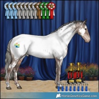 Horse Color:White Spotted Liver Red Dun Mushroom Appaloosa Brindle 