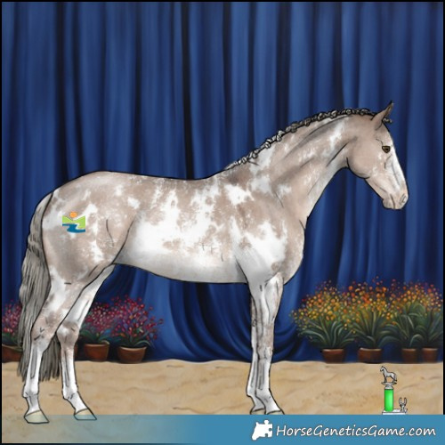 Horse Color:White Spotted Liver Red Dun Mushroom Sabino 