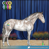 Horse Color:White Spotted Liver Red Dun Mushroom Sabino 