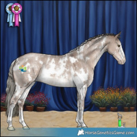 Horse Color:White Spotted Liver Red Dun Mushroom Sabino 