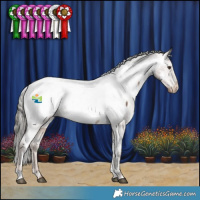 Horse Color:Liver Red Dun Mushroom Appaloosa 