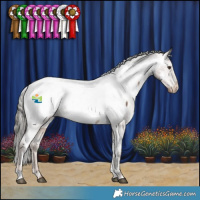 Horse Color:Liver Red Dun Mushroom Appaloosa 