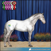 Horse Color:Liver Red Dun Mushroom Appaloosa 