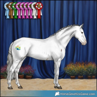 Horse Color:Liver Red Dun Mushroom Snowcap 