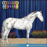 Horse Color:White Spotted Liver Red Dun Mushroom Sabino Appaloosa Brindle 