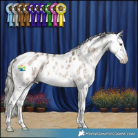 Horse Color:White Spotted Liver Red Dun Mushroom Sabino Appaloosa Brindle 