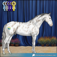 Horse Color:White Spotted Liver Red Dun Mushroom Sabino Appaloosa Brindle