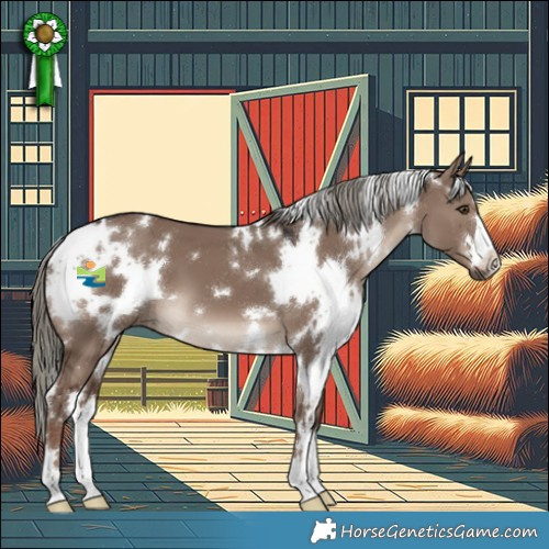 Horse Color:White Spotted Liver Red Dun Mushroom 