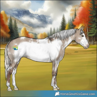 Horse Color:White Spotted Liver Red Dun Mushroom Frame