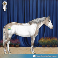 Horse Color:White Spotted Liver Red Dun Mushroom Frame 