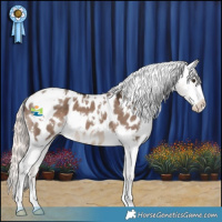 Horse Color:White Spotted Liver Red Dun Mushroom Appaloosa 