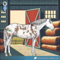 Horse Color:White Spotted Liver Red Dun Mushroom Appaloosa 