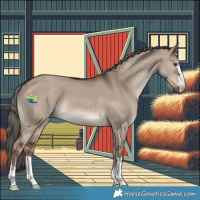 Horse Color:Liver Red Dun Mushroom