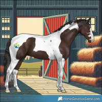 Horse Color:Liver Chestnut Tobiano 