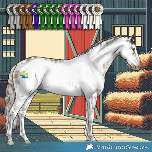 Horse Color:Chocolate Palomino Sabino Frame 