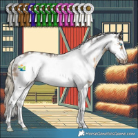 Horse Color:Chocolate Palomino Sabino Frame