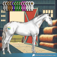 Horse Color:Chocolate Palomino Sabino Frame