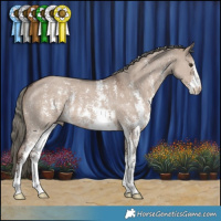 Horse Color:Liver Red Dun Mushroom Sabino 
