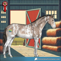 Horse Color:Liver Red Dun Sabino 