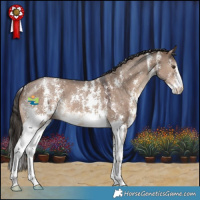 Horse Color:Liver Red Dun Sabino