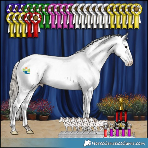 Horse Color:White Spotted Silver Black Appaloosa 