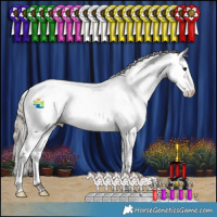 Horse Color:White Spotted Silver Black Appaloosa 