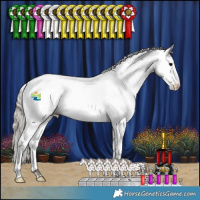 Horse Color:White Spotted Silver Black Appaloosa