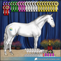 Horse Color:White Spotted Silver Black Appaloosa