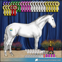 Horse Color:White Spotted Silver Black Fewspot