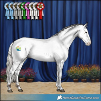 Horse Color:Silver Brown Appaloosa 