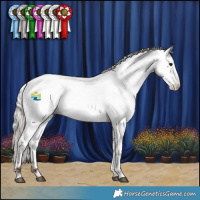 Horse Color:Silver Brown Appaloosa