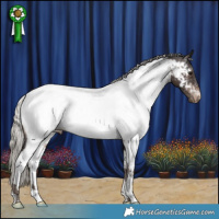 Horse Color:Silver Brown Appaloosa