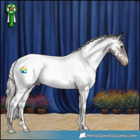 Horse Color:Silver Brown Appaloosa