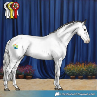 Horse Color:White Spotted Silver Black Appaloosa 